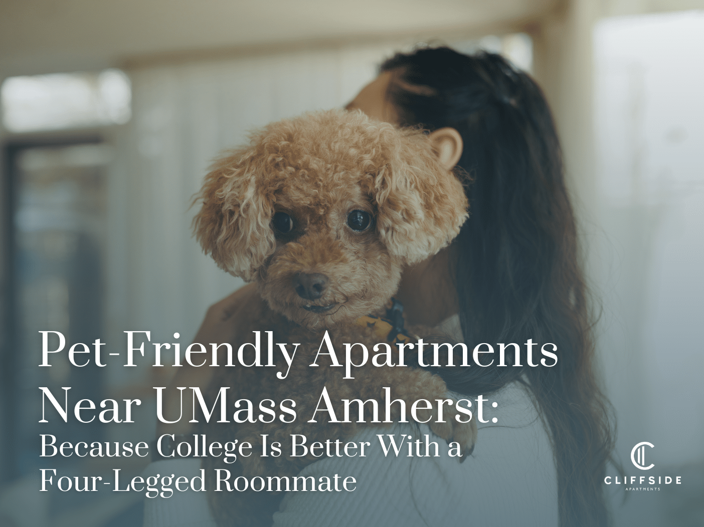 Why Choose Pet-Friendly Apartments Near UMass Amherst